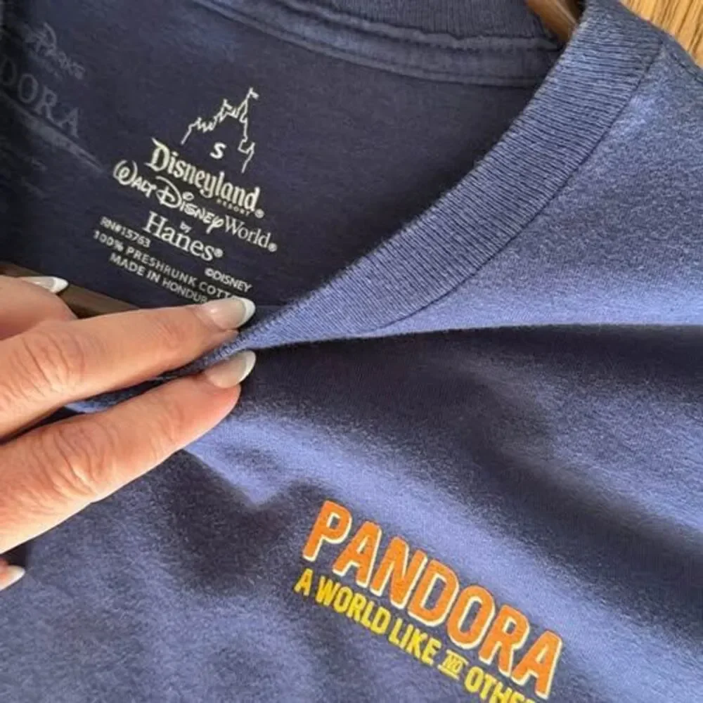 Disney Parks Pandora The World of Avatar Hanes T-Shirt Small